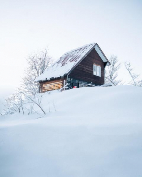 Lucky Duck Cabin Myoko